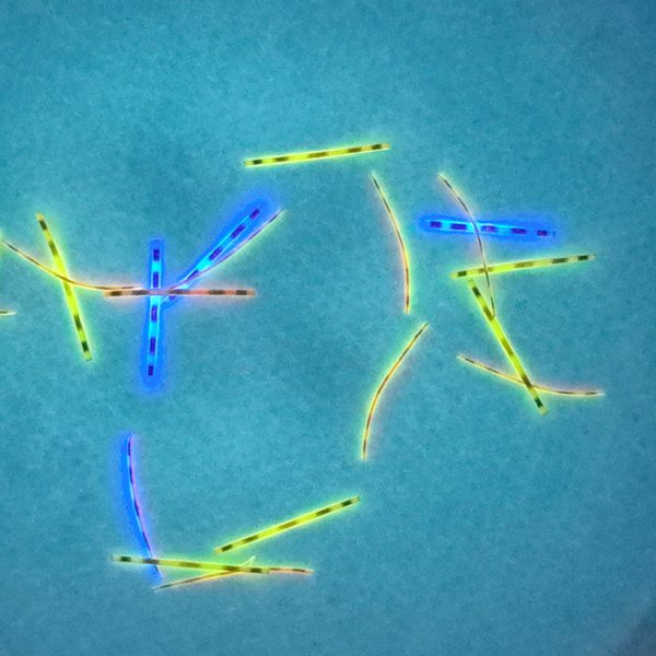 透光分(fēn)段纤维