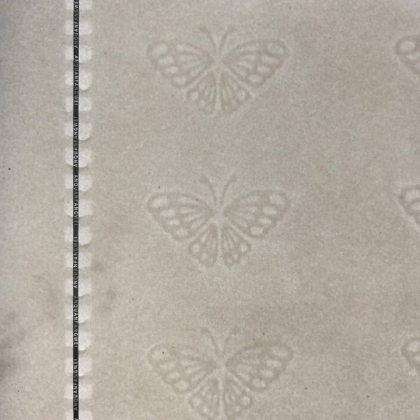 140克安(ān)全線(xiàn)蝴蝶水印纸