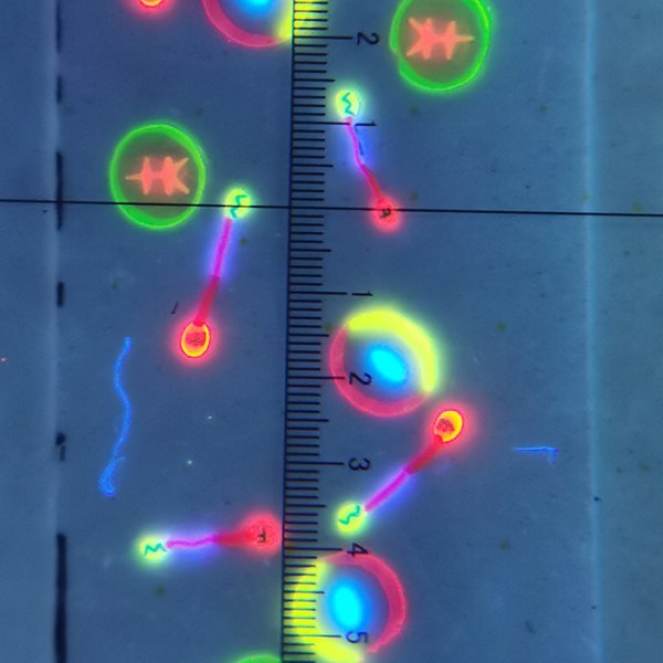 微缩文(wén)字纤维